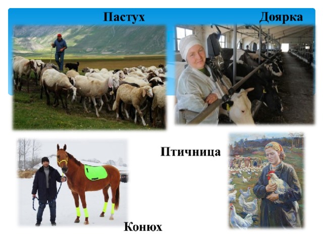 Пастух 