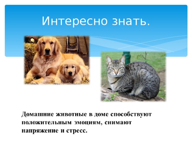 Интересно знать. 