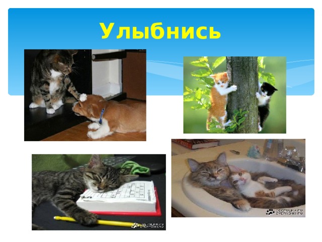 Улыбнись 