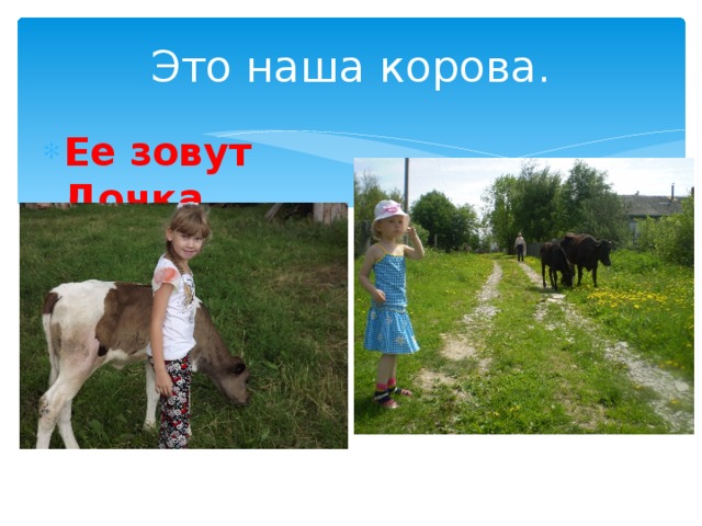 Это наша корова. Ее зовут Дочка. 