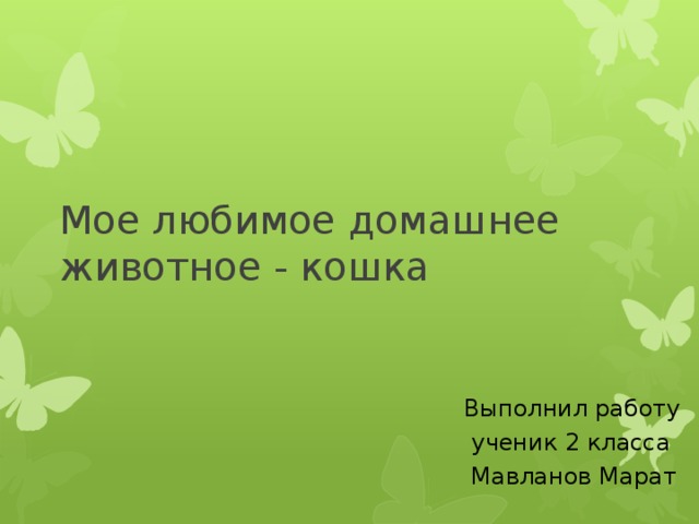 Мое любимое домашнее животное - кошка Выполнил работу  ученик 2 класса  Мавланов Марат 