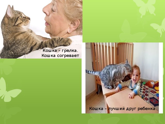  Кошка – грелка. Кошка согревает Кошка – лучший друг ребенка 