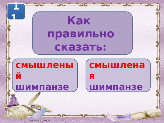 11. Как правильно сказать: смышленый шимпанзе смышленая шимпанзе 