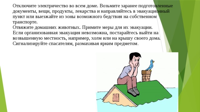 Отключите электричество во всем доме. Возьмите заранее подготовленные документы, вещи, продукты, лекарства и направляйтесь в эвакуационный пункт или выезжайте из зоны возможного бедствия на собственном транспорте.  Отвяжите домашних животных. Примите меры для их эвакуации.  Если организованная эвакуация невозможна, постарайтесь выйти на возвышенную местность, например, холм или на крышу своего дома.  Сигнализируйте спасателям, размахивая ярким предметом . 