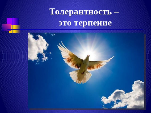 Толерантность –  это терпение 