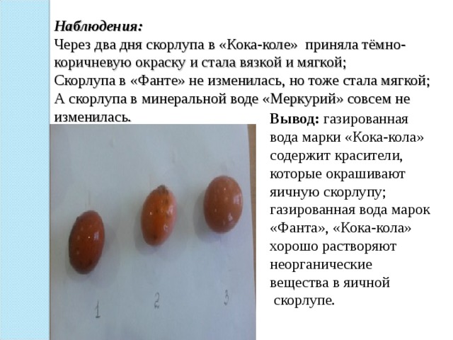Наблюдения:  Через два дня скорлупа в «Кока-коле»  приняла тёмно-коричневую окраску и стала вязкой и мягкой;  Скорлупа в «Фанте» не изменилась, но тоже стала мягкой;  А скорлупа в минеральной воде «Меркурий» совсем не изменилась. Вывод: газированная вода марки «Кока-кола» содержит красители, которые окрашивают яичную скорлупу;  газированная вода марок «Фанта», «Кока-кола» хорошо растворяют неорганические вещества в яичной  скорлупе . 