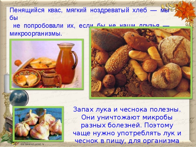 Пенящийся квас, мягкий ноздреватый хлеб — мы бы  не попробовали их, если бы не наши друзья — микроорганизмы.  Запах лука и чеснока полезны. Они уничтожают микробы разных болезней. Поэтому чаще нужно употреблять лук и чеснок в пищ у , для организма они очень полезны.   