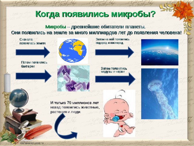 Когда появились микробы? Микробы – древнейшие обитатели планеты. Они появились на земле за много миллиардов лет до появления человека! Сначала появилась земля. Затем на ней появились водород и кислород. Потом появились бактерии Затем появились медузы и черви И только 70 миллионов лет назад появились животные, растения и люди. 