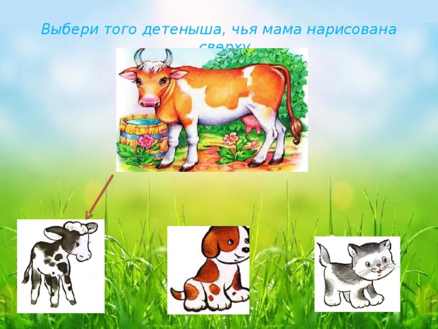 Выбери того детеныша, чья мама нарисована сверху. 