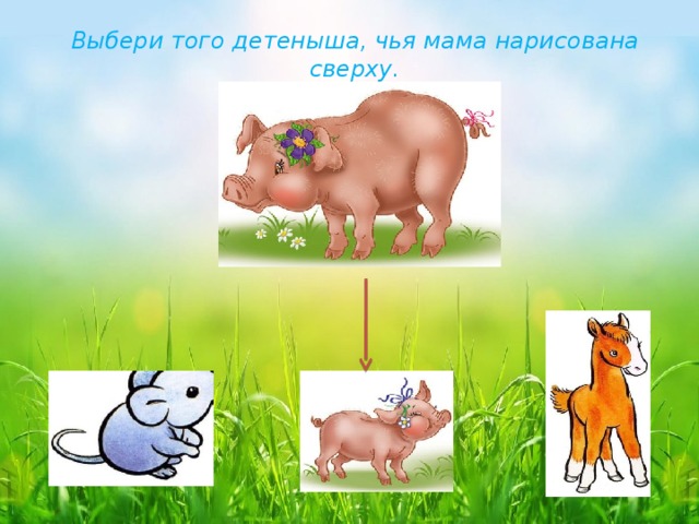 Выбери того детеныша, чья мама нарисована сверху. 