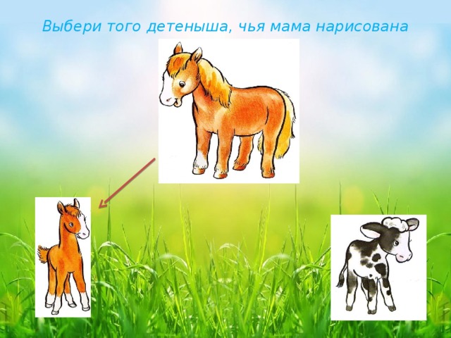 Выбери того детеныша, чья мама нарисована сверху. 