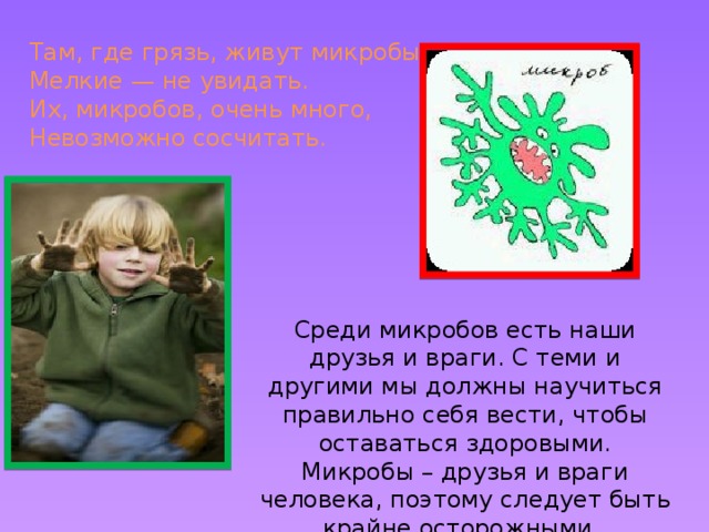 Там, где грязь, живут микробы.  Мелкие — не увидать.  Их, микробов, очень много,  Невозможно сосчитать. Среди микробов есть наши друзья и враги. С теми и другими мы должны научиться правильно себя вести, чтобы оставаться здоровыми. Микробы – друзья и враги человека, поэтому следует быть крайне осторожными.  