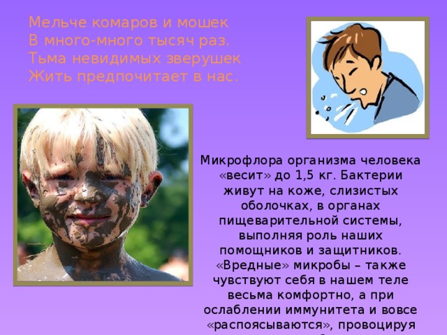 Мельче комаров и мошек  В много-много тысяч раз.  Тьма невидимых зверушек  Жить предпочитает в нас. Микрофлора организма человека «весит» до 1,5 кг. Бактерии живут на коже, слизистых оболочках, в органах пищеварительной системы, выполняя роль наших помощников и защитников. «Вредные» микробы – также чувствуют себя в нашем теле весьма комфортно, а при ослаблении иммунитета и вовсе «распоясываются», провоцируя различные заболевания.  
