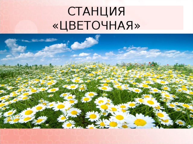 СТАНЦИЯ  «ЦВЕТОЧНАЯ» 