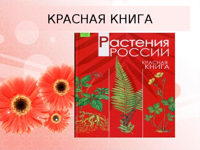 КРАСНАЯ КНИГА 