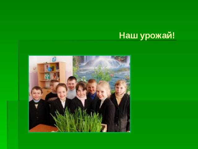 Наш урожай!