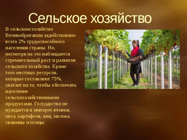 Сельское хозяйство В сельском хозяйстве Великобритании задействовано всего 2% трудоспособного населения страны. Но, несмотря на это наблюдается стремительный рост и развитие сельского хозяйства. Кроме того местных ресурсов, которые составляют 75%, хватает на то, чтобы обеспечить население сельскохозяйственными продуктами. Государство не нуждается в импорте ячменя, овса, картофеля, яиц, молока, свинины и птицы. 