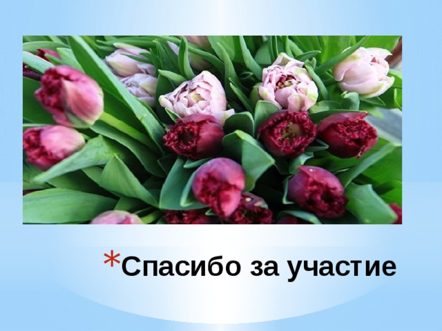 Спасибо за участие 