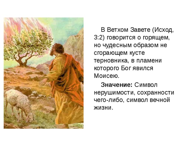  В Ветхом Завете (Исход, 3:2) говорится о горящем, но чудесным образом не сгорающем кусте терновника, в пламени которого Бог явился Моисею.  Значение:  Символ нерушимости, сохранности чего-либо, символ вечной жизни. 