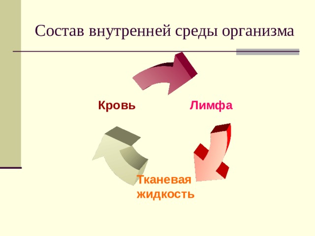 Состав внутренней среды организма Лимфа Кровь Тканевая  жидкость 