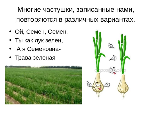 Многие частушки, записанные нами, повторяются в различных вариантах.  Ой, Семен, Семен, Ты как лук зелен,  А я Семеновна- Трава зеленая 