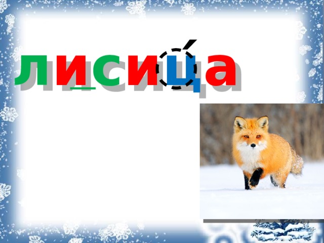 ́ л и с и ц а 