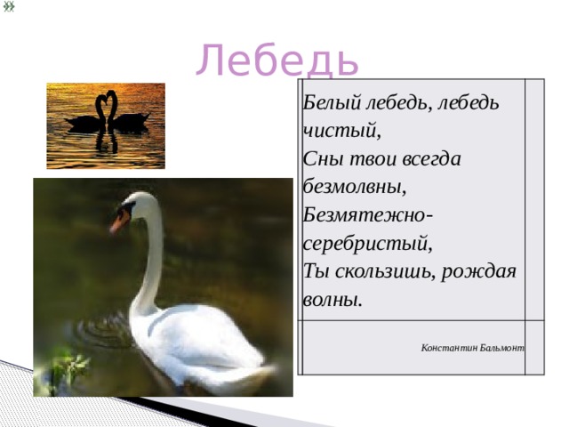 Лебедь Белый лебедь, лебедь чистый,  Сны твои всегда безмолвны,  Безмятежно-серебристый,  Ты скользишь, рождая волны.     Константин Бальмонт   