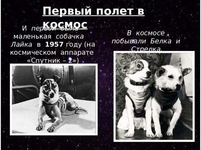 Первый полет в космос И первой была – маленькая собачка  Лайка в 1957 году (на космическом аппарате «Спутник – 2») В космосе побывали Белка и Стрелка. 