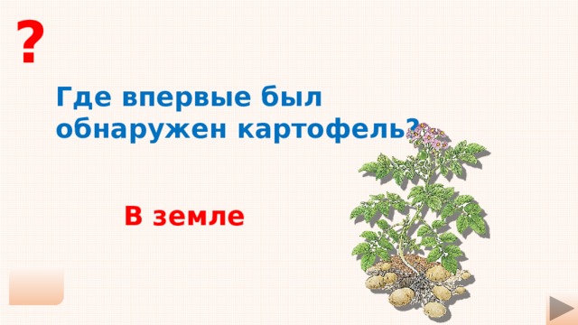 ? Где впервые был обнаружен картофель? В земле 