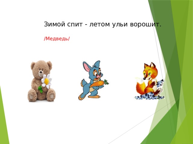 Зимой спит - летом ульи ворошит. /Медведь/ 
