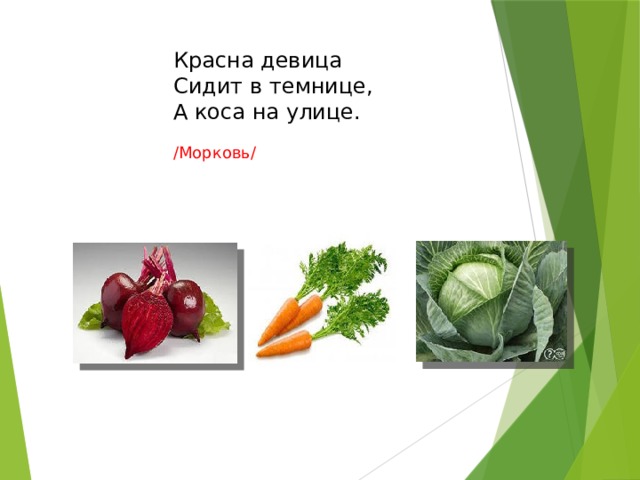 Красна девица  Сидит в темнице,  А коса на улице.  /Морковь/ У него большой живот,  А совсем не бегемот.  Хобот-нос приподнял он,  Но, однако же, не слон.  И пыхтит он через нос  На плите как паровоз. (Чайник) 