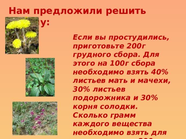 Нам предложили решить задачу: Если вы простудились, приготовьте 200г грудного сбора. Для этого на 100г сбора необходимо взять 40% листьев мать и мачехи, 30% листьев подорожника и 30% корня солодки. Сколько грамм каждого вещества необходимо взять для приготовления 200г сбора? 