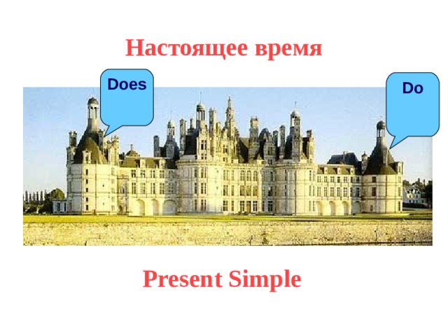 Настоящее время Does Do Present Simple 