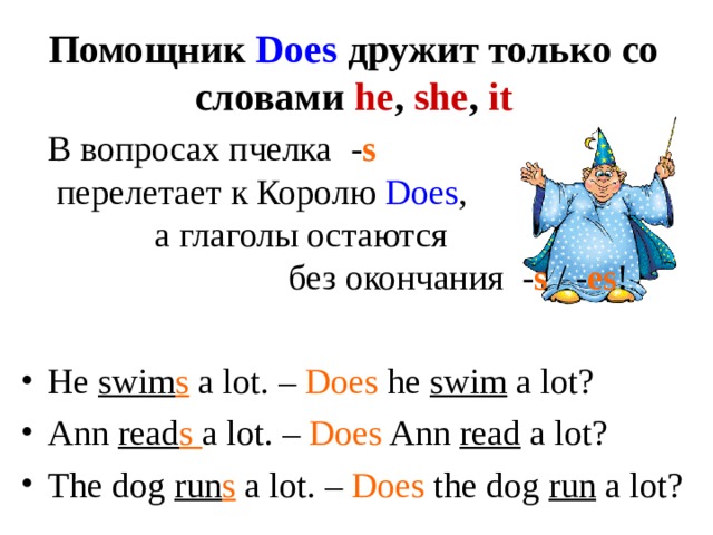Помощник  Does  дружит только со словами he , she , it  В вопросах пчелка - s  перелетает к Королю Does , а глаголы остаются без окончания - s / - es ! He swim s a lot. – Does he swim a lot? Ann read s a lot. – Does Ann read a lot? The dog run s a lot. – Does the dog run a lot? 
