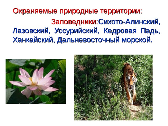  Охраняемые природные территории:  Заповедники: Сихото-Алинский, Лазовский, Уссурийский, Кедровая Падь, Ханкайский, Дальневосточный морской.  