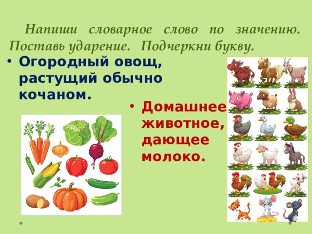  Напиши словарное слово по значению. Поставь ударение. Подчеркни букву. Огородный овощ, растущий обычно кочаном. Домашнее животное, дающее молоко. 