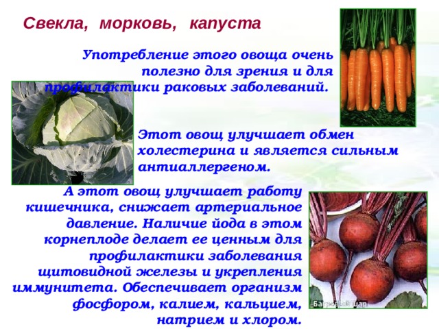 Свекла,  морковь, капуста Употребление этого овоща очень полезно для зрения и для профилактики раковых заболеваний.  Этот овощ улучшает обмен холестерина и является сильным антиаллергеном. А этот овощ улучшает работу кишечника, снижает артериальное давление. Наличие йода в этом корнеплоде делает ее ценным для профилактики заболевания щитовидной железы и укрепления иммунитета. Обеспечивает организм фосфором, калием, кальцием, натрием и хлором. 