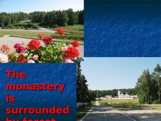 The monastery is surrounded by forest. 