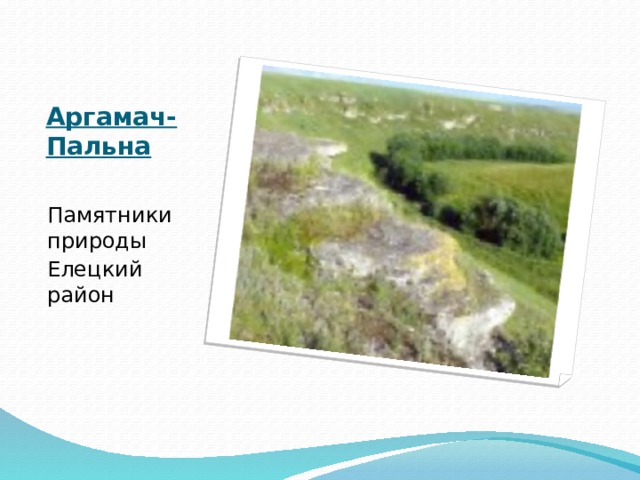 Аргамач-Пальна   Памятники природы Елецкий район 