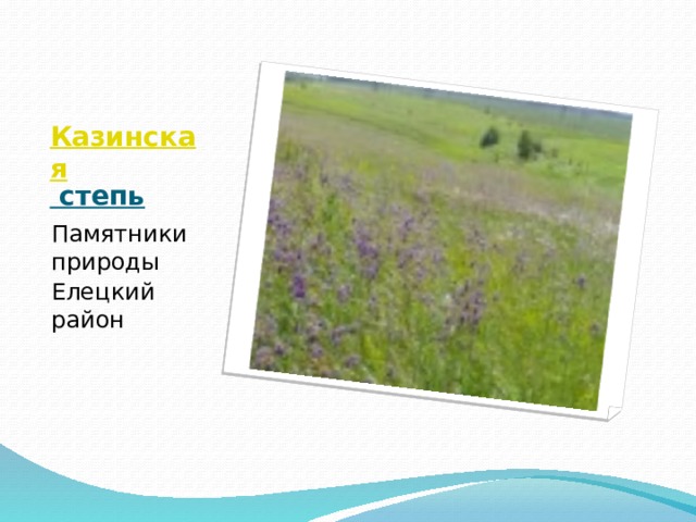 Казинская степь   Памятники природы Елецкий район 