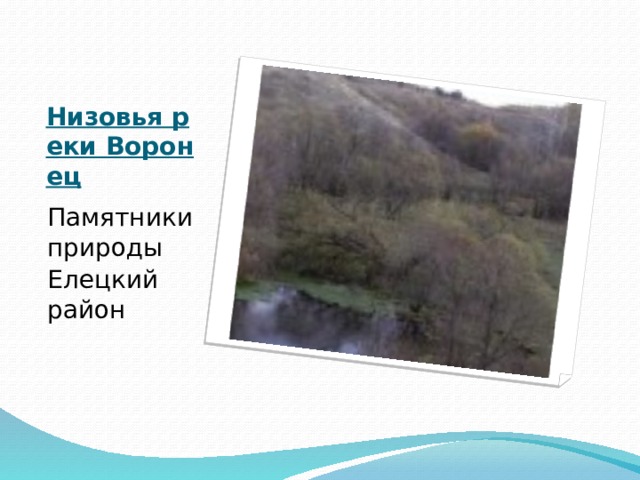 Низовья реки Воронец   Памятники природы Елецкий район 
