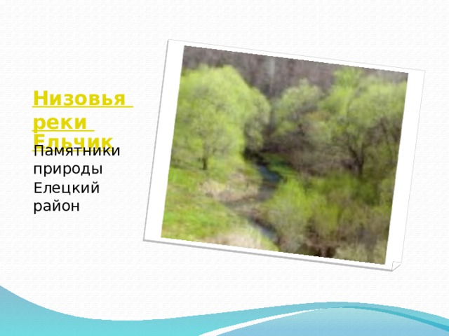 Низовья реки Ельчик Памятники природы Елецкий район 