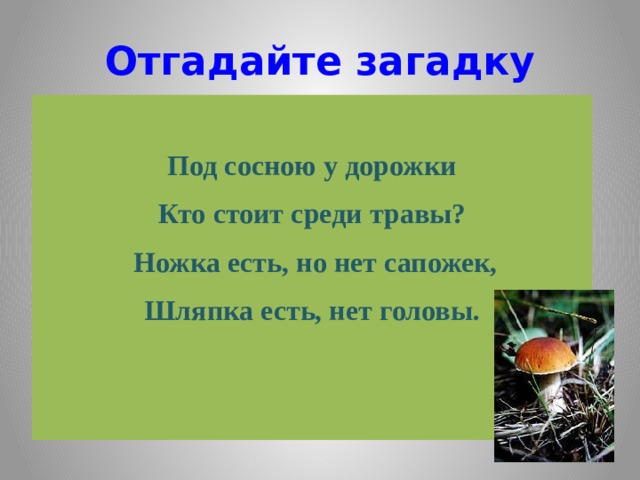 Отгадайте загадку  Под сосною у дорожки Кто стоит среди травы?  Ножка есть, но нет сапожек, Шляпка есть, нет головы. 