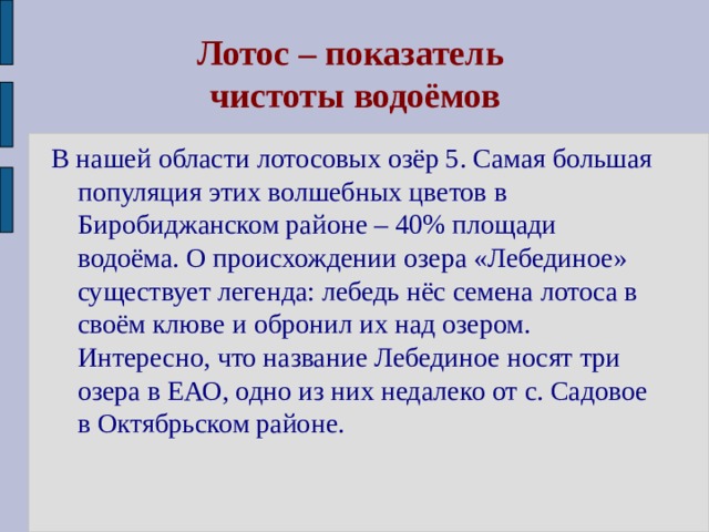 Лотос – показатель  чистоты водоёмов В нашей области лотосовых озёр 5. Самая большая популяция этих волшебных цветов в Биробиджанском районе – 40% площади водоёма. О происхождении озера «Лебединое» существует легенда: лебедь нёс семена лотоса в своём клюве и обронил их над озером. Интересно, что название Лебединое носят три озера в ЕАО, одно из них недалеко от с. Садовое в Октябрьском районе. 