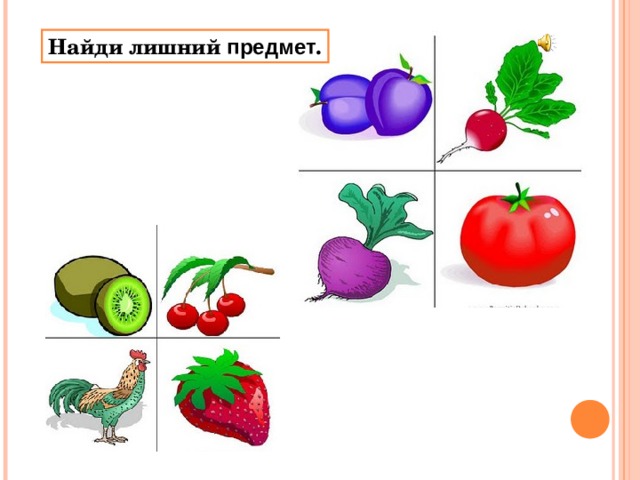 Найди лишний предмет . 