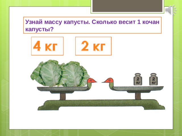 Узнай массу капусты. Сколько весит 1 кочан капусты? 