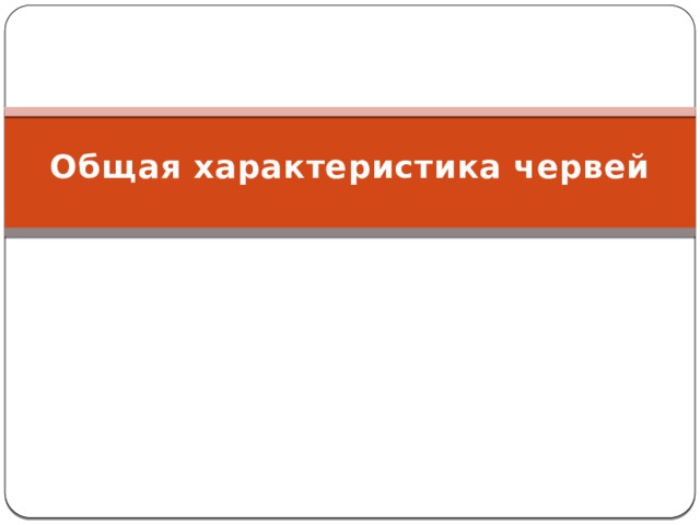 Общая характеристика червей 
