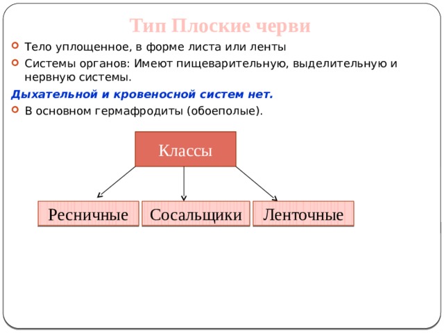Тип Плоские черви Тело уплощенное, в форме листа или ленты Системы органов: Имеют пищеварительную, выделительную и нервную системы. Дыхательной и кровеносной систем нет. В основном гермафродиты (обоеполые).  Классы Ресничные Сосальщики Ленточные 