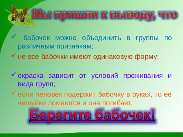  бабочек можно объединить в группы по различным признакам; не все бабочки имеют одинаковую форму;  окраска зависит от условий проживания и вида групп; если человек подержит бабочку в руках, то её чешуйки ломаются и она погибает. 