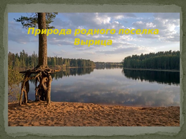 Природа родного поселка Вырица 
